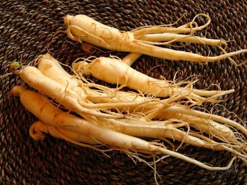 60 yaşından sonra gücü artırmak için ginseng kökü