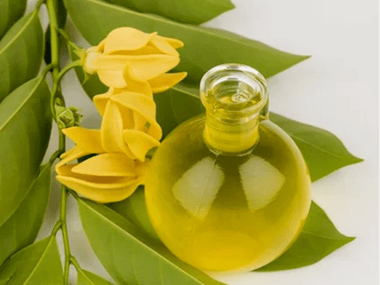 Gücü iyileştirmek için aromaterapi